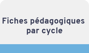 Fiches pédagogiques par cycle  (cycle 1 à 4, lycée générale et professionnel)