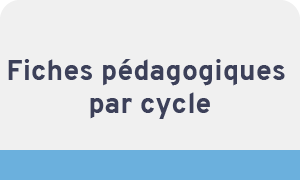 Les animaux de la ferme - CP CE1 - FichesPédagogiques.com